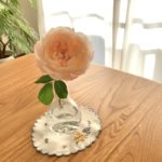 施術中に流している音楽について｜ソルフェジオ周波数と、からだの感覚