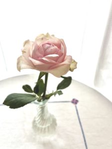 バラの花、ローズ