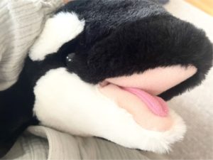 シャチのぬいぐるみ