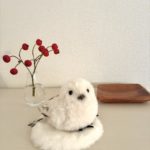 冬支度と、シマエナガちゃんが来た日。最近のサロン日誌