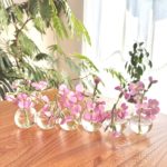 施術中に流している音楽について｜ソルフェジオ周波数と、からだの感覚