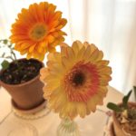 ゆだ寝のすすめ｜マッサージ中の眠りと脳波の関係