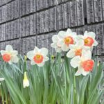 4月の営業日をアップしました